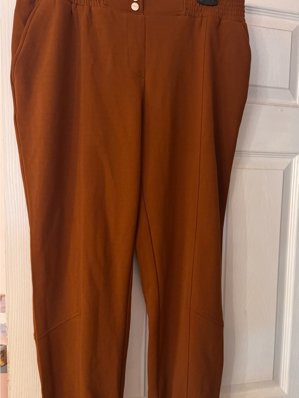 Soho Rust-Colored Stretch Ponte Trousers